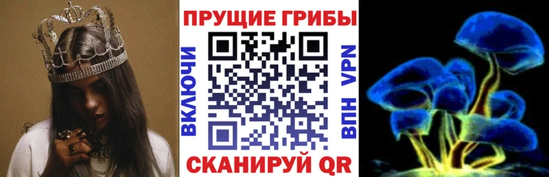 Псилоцибиновые грибы мухоморы  Никольск 